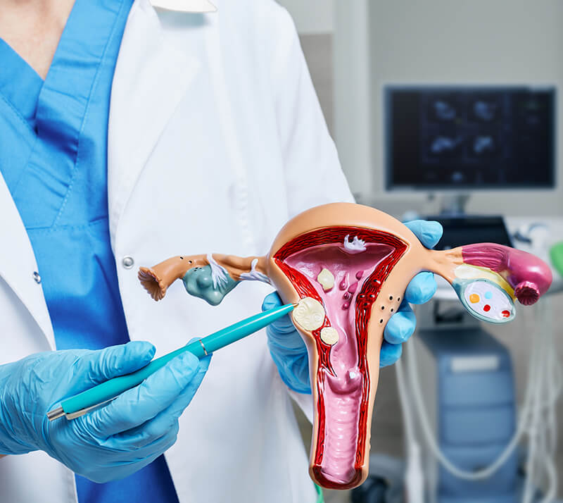 Gynaecologist